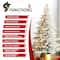 Glitzhome® 9ft Pre-Lit Flocked Full Fir Artificial Christmas Tree, Multicolor LED Lights